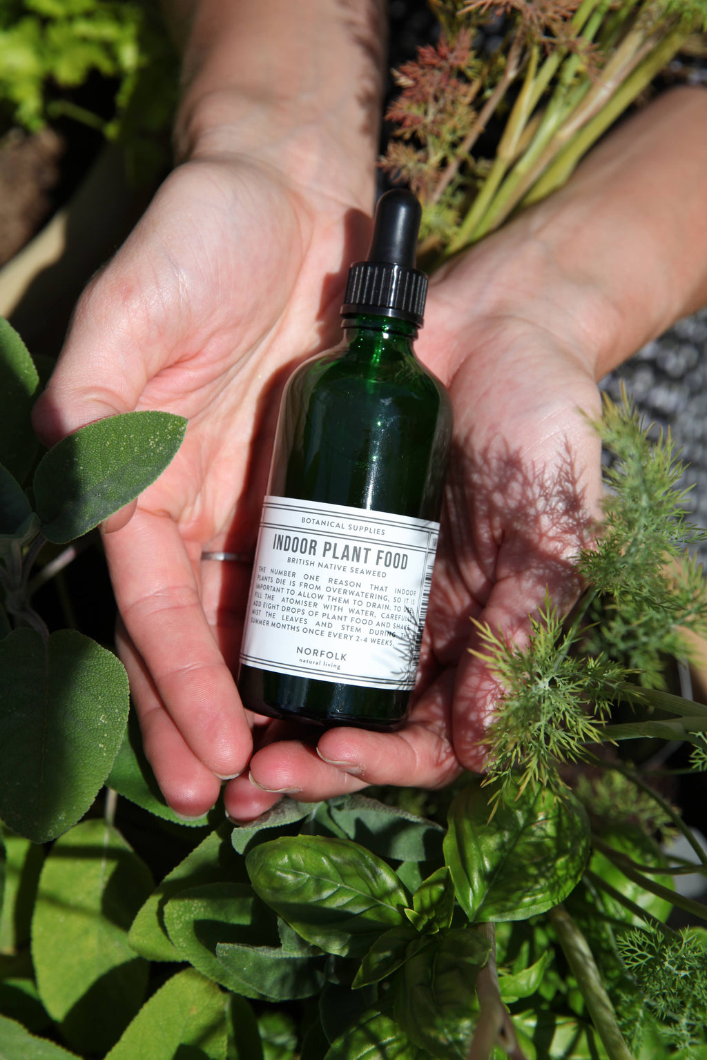 Indoor Plant Food - 100ml