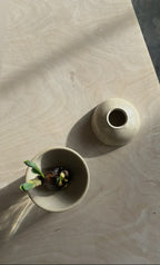 Stoneware bulb/plant propagator by Eleanor Torbati