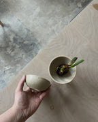 Stoneware bulb/plant propagator by Eleanor Torbati
