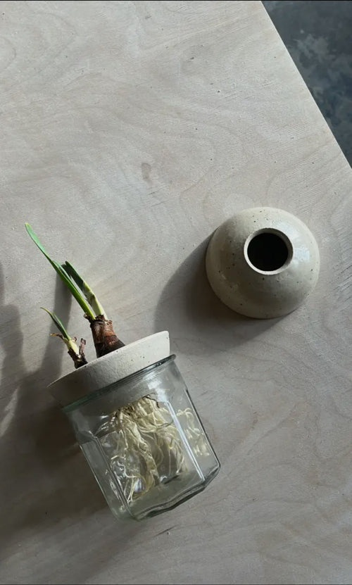 Stoneware bulb/plant propagator by Eleanor Torbati