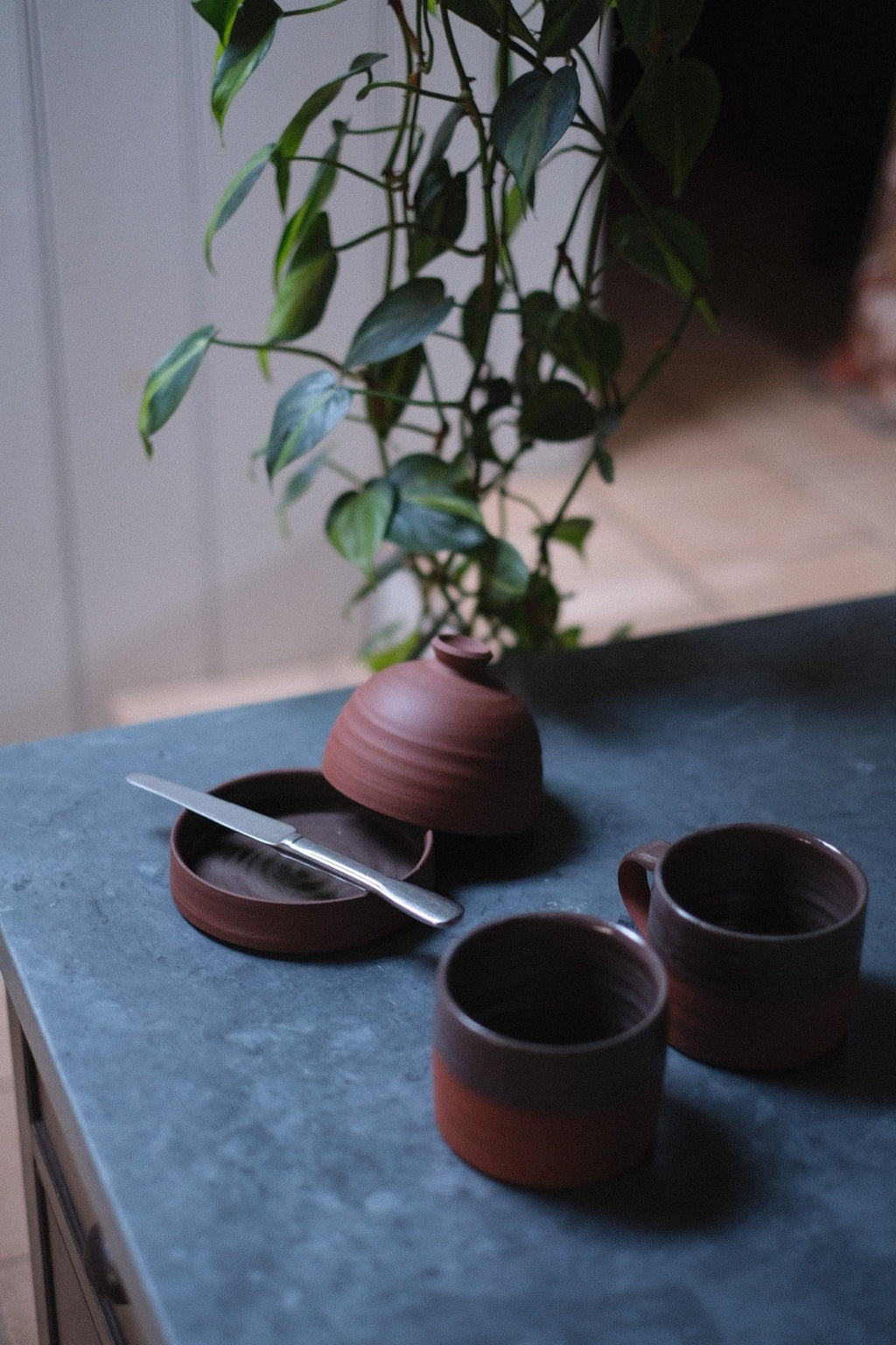 Low wide mug - terracotta half dip