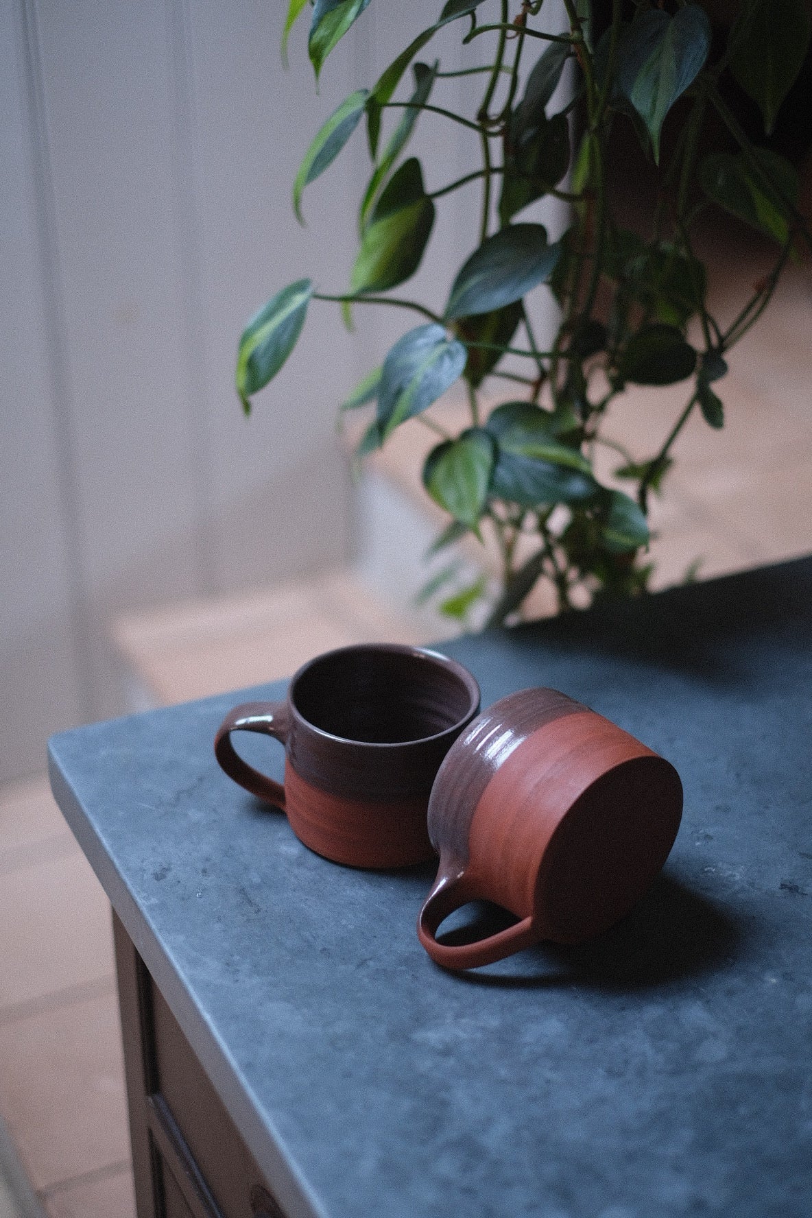 Low wide mug - terracotta half dip
