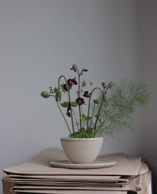 Floral bowls - Eleanor Torbati