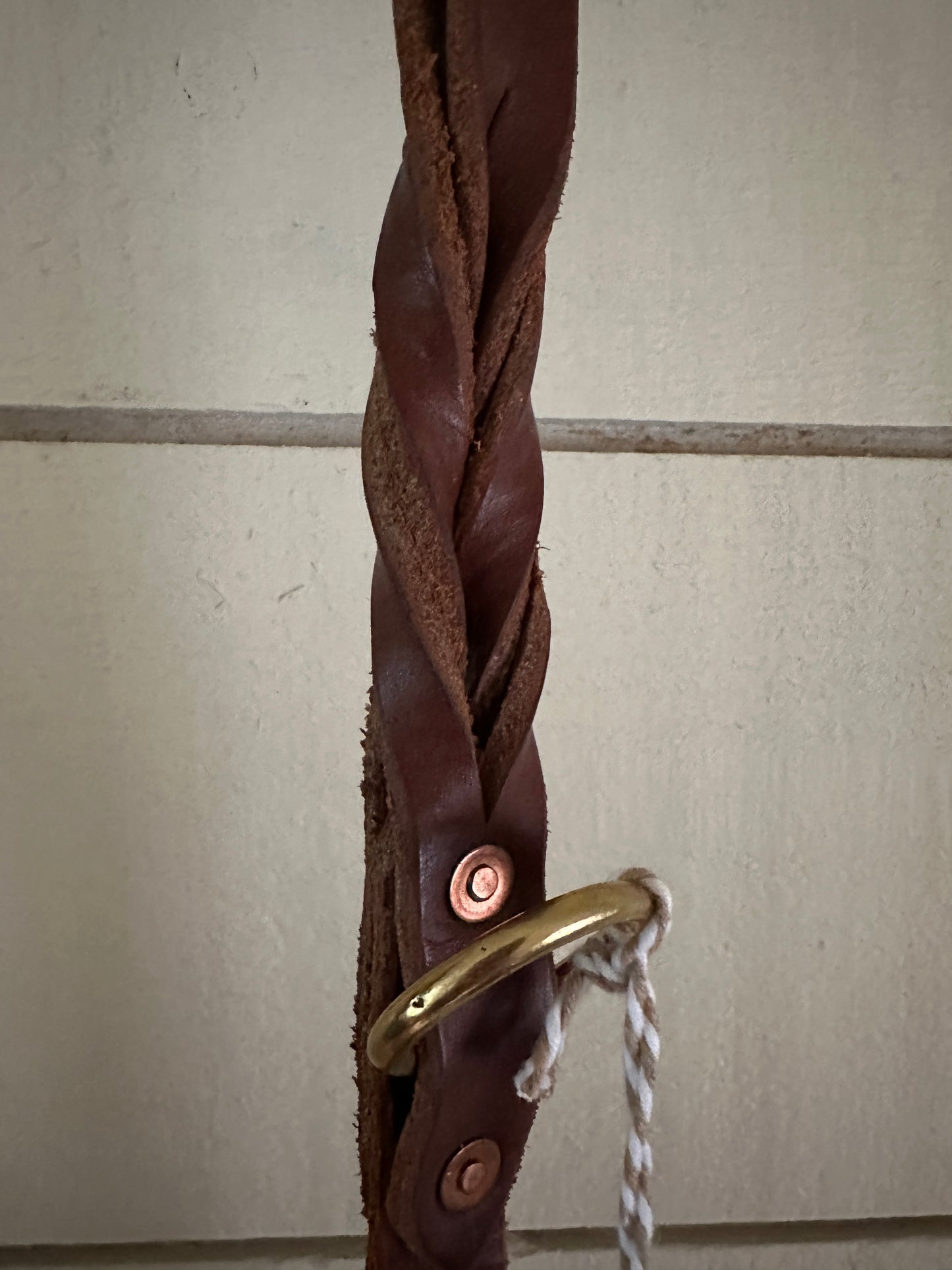 Dog Leads from Horse Saddles