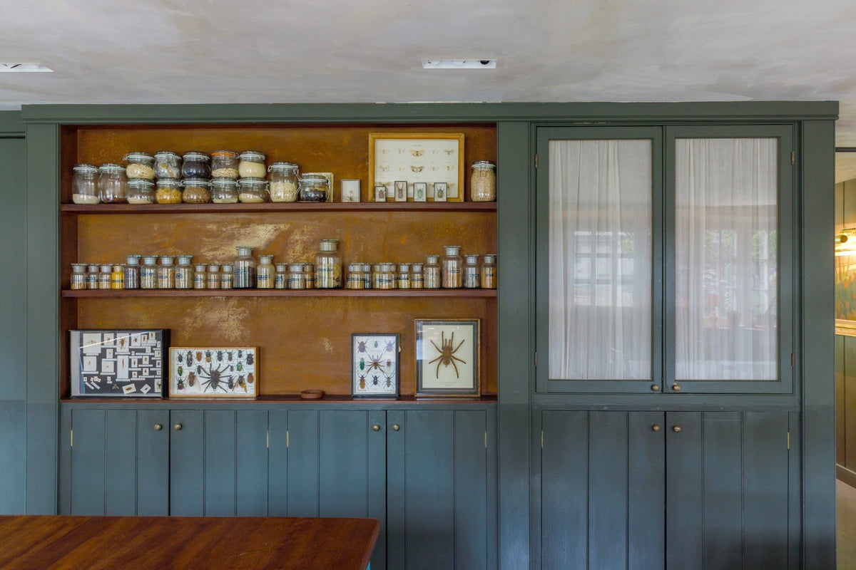 Riverbank cabinet of curiosities: green built-in shelving with glass jars and framed insect specimens