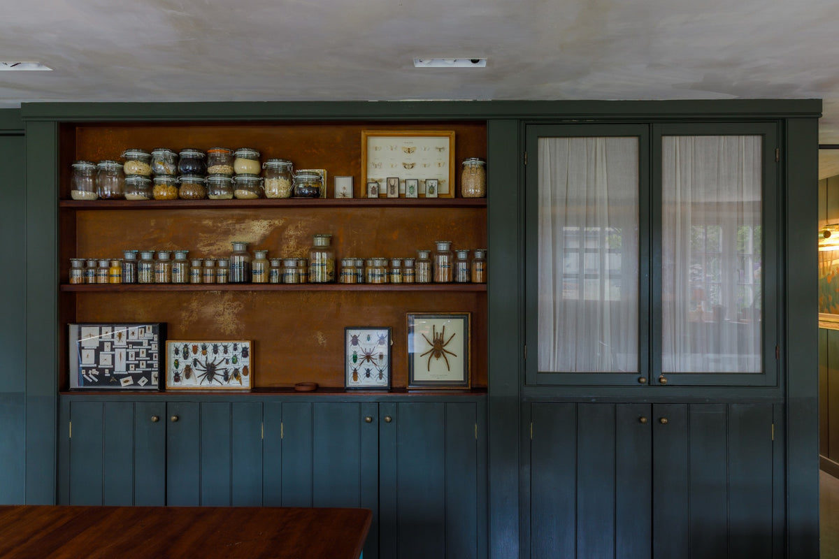 Riverbank cabinet of curiosities shelving