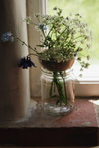 Stoneware bulb/plant propagator by Eleanor Torbati