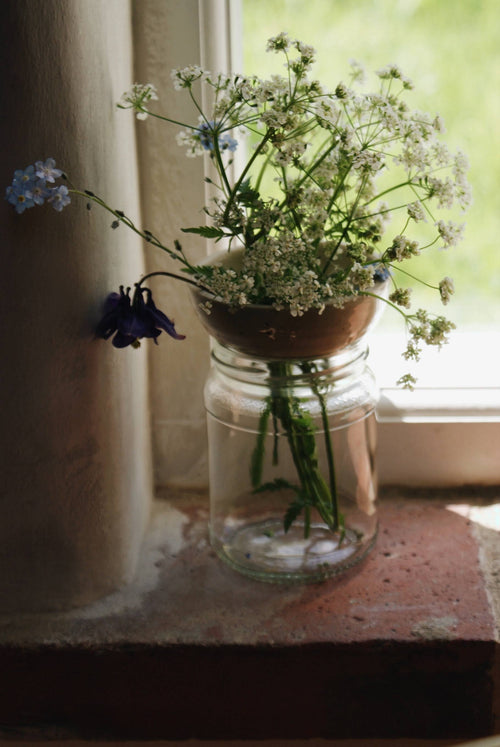 Stoneware bulb/plant propagator by Eleanor Torbati